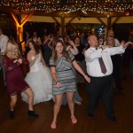 Wedding Party Dancing